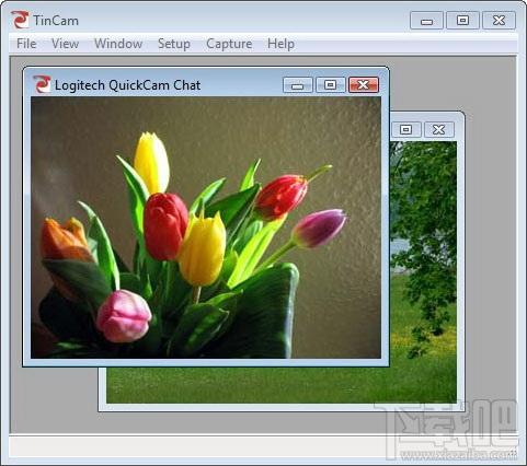 TinCam,TinCam下载,TinC,实时更新webcam图片