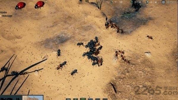 模拟地下蚁国无限食物版(暂未上线),模拟地下蚁国,模拟游戏