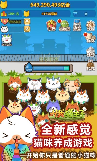 叫我猫主子手游无限钻石版下载,叫我猫主子,养成手游,宠物手游
